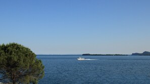 On peut clairement voir une étendue d’eau avec un bateau en mouvement, entourée d’une côte bordée d’une végétation luxuriante et d’une île au loin.