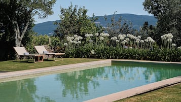 Alberca al aire libre y camastros