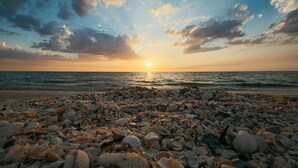 A beach with a sunset over the ocean, pebbles and shells scattered on the shore.