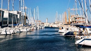 A marina with multiple sailboats docked, a clear sky, and buildings in the background.