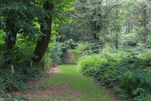 Vista desde la propiedad