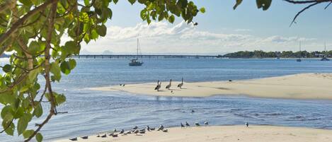 Una playa con barcos, aves y un puente distante.