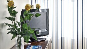 A room with a television on a wooden cabinet, a vase with flowers, and a striped curtain. - Sintra Sol - Apartamentos Turisticos (Sintra)