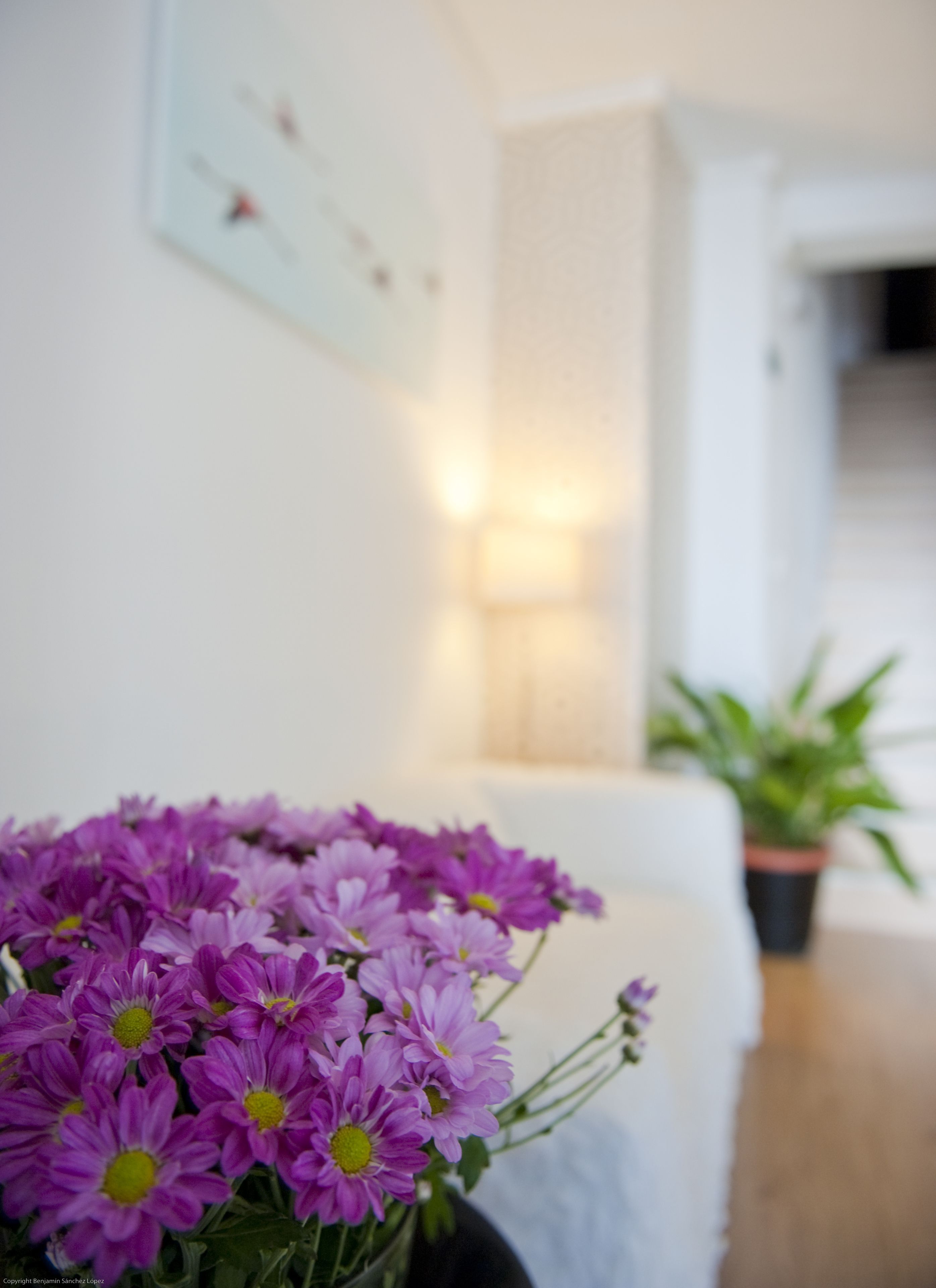 Una habitación con un sofá blanco, una planta en maceta y un aplique de pared.