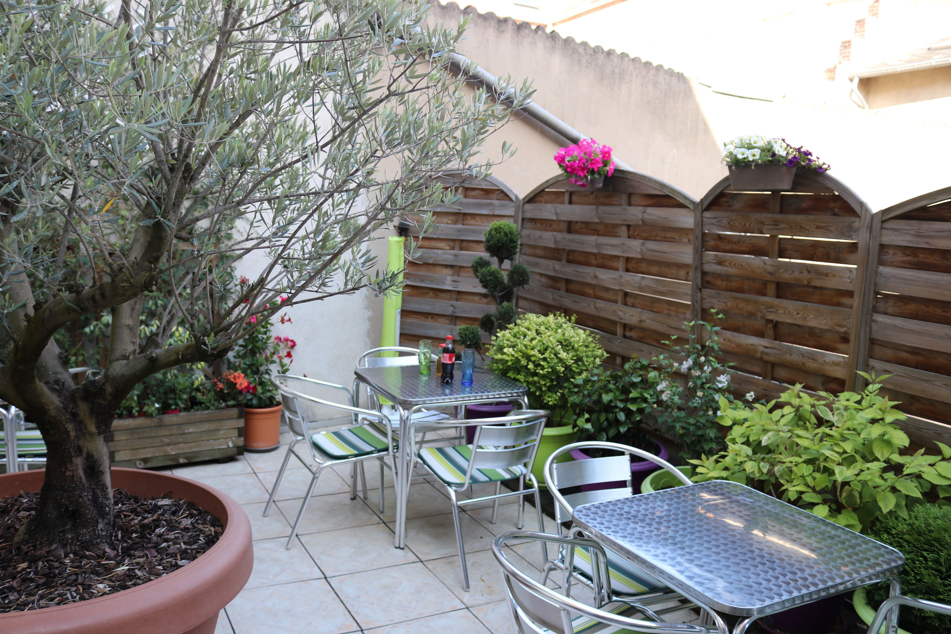 Un patio con una mesa y sillas de metal, rodeado de plantas en macetas y un pequeño árbol.