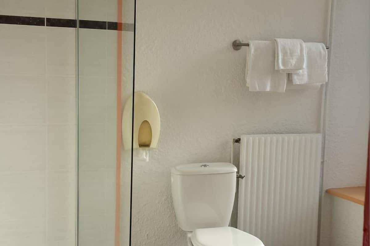 A bathroom with a glass shower enclosure, a toilet, and a towel rack.