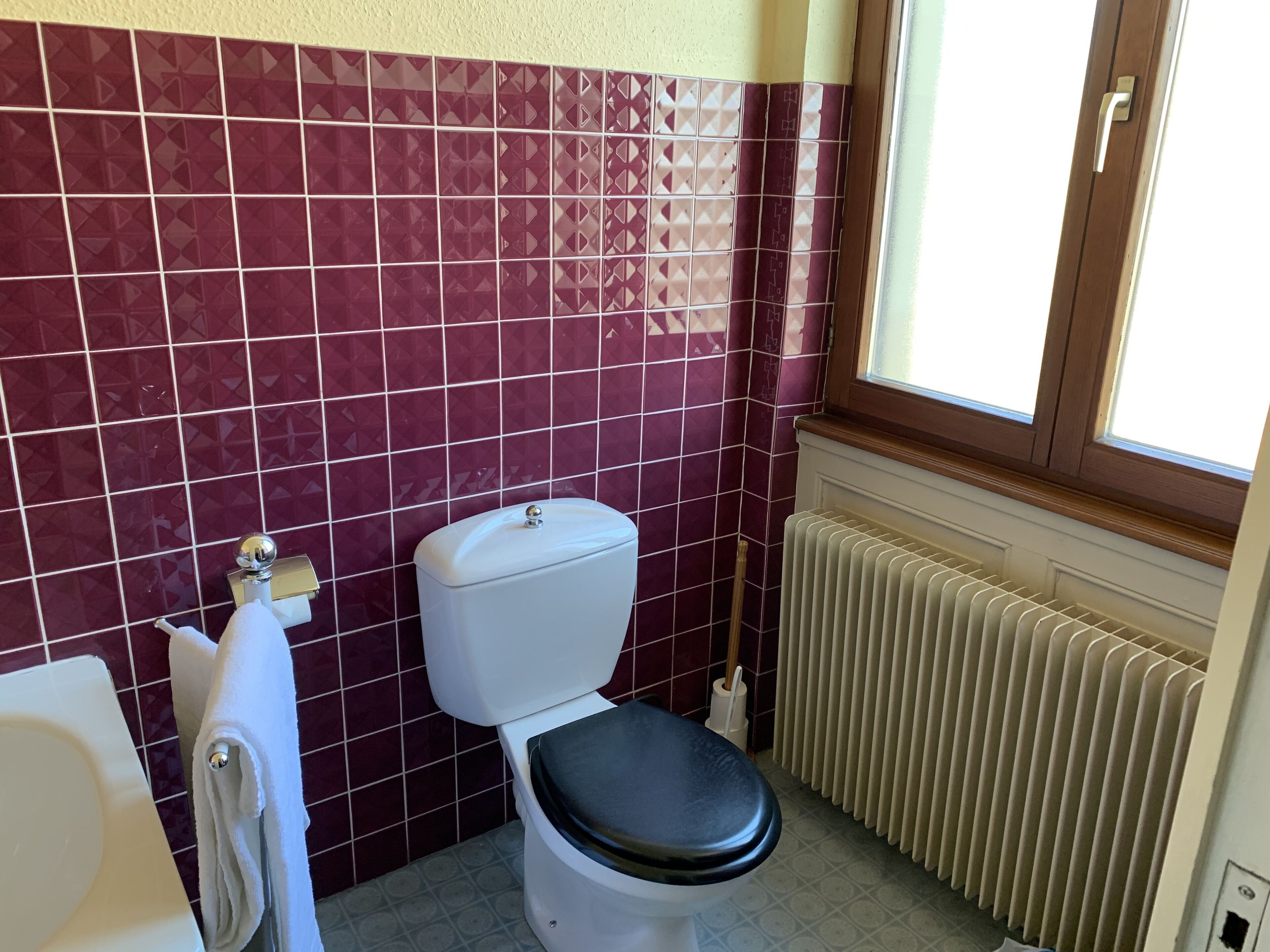 A bathroom with a toilet, a radiator, and a window.