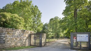Uklassifisert bilde, 3 av 63, knapp