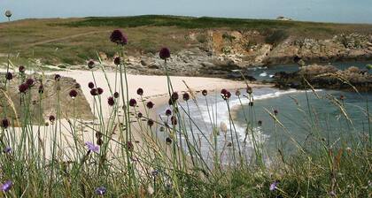 The Originals City Hôtel Ker Izel Saint-Brieuc Centre Historique