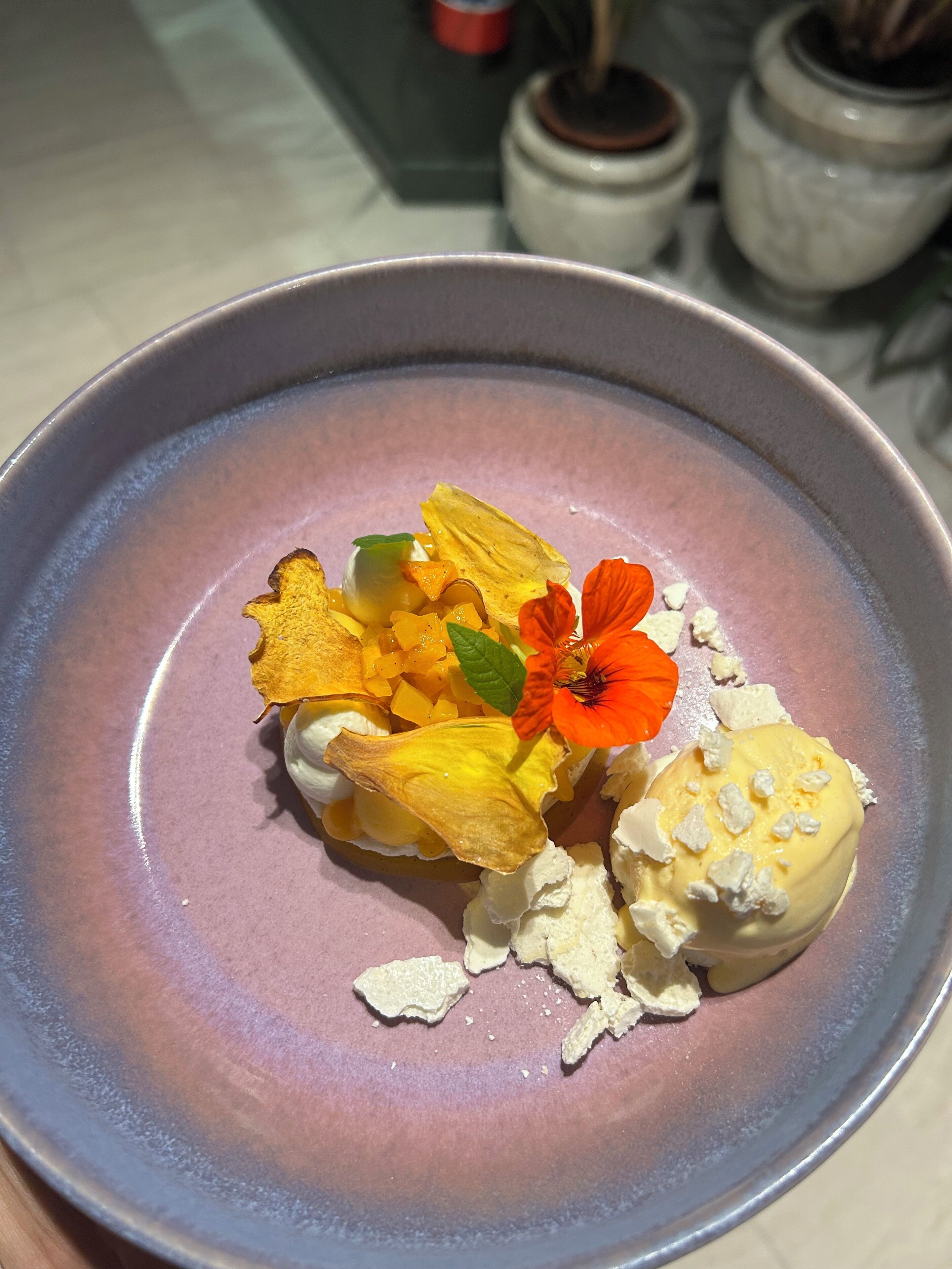Un plato de postre con borde rosa, con una bola de helado, una flor y algunas piezas de fruta.