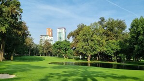 Un parque bien cuidado con un estanque, árboles y edificios al fondo.