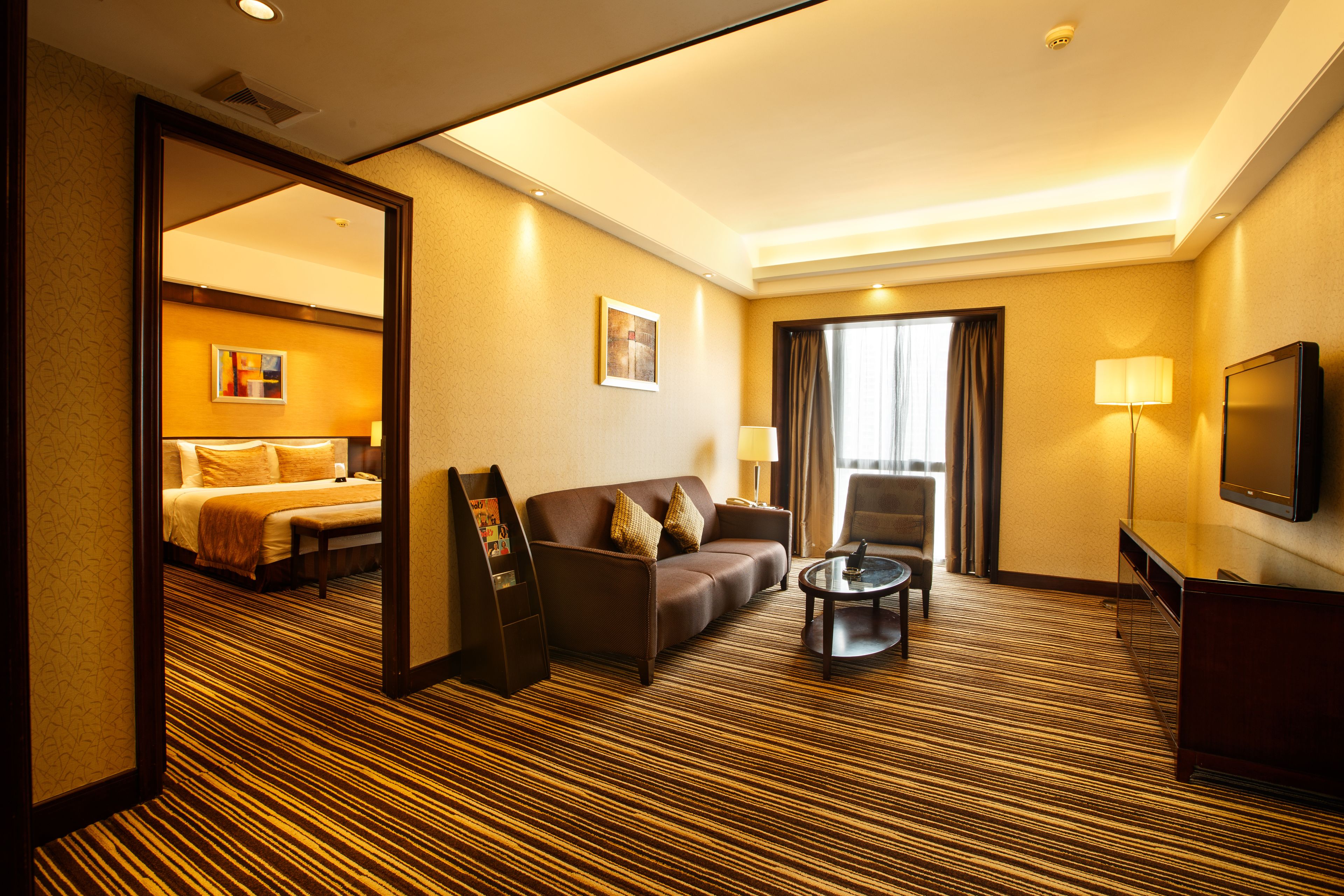 leeden suite | living room | tv