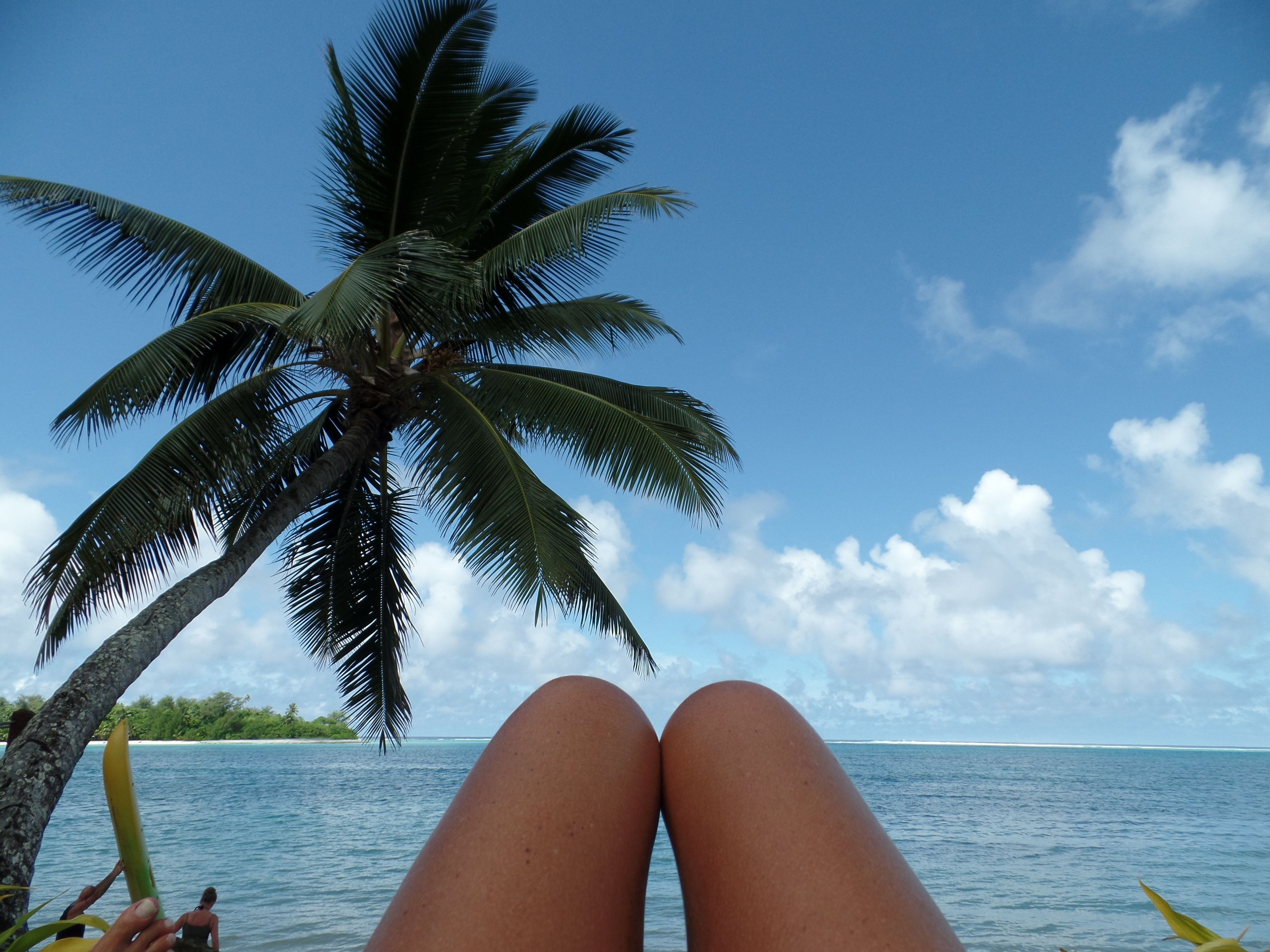 A beach scene with a palm tree and calm sea.