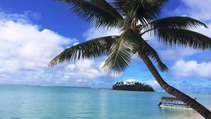 A beach with a rope barrier, clear turquoise water, a palm tree, and a small island with thatched huts in the distance. - Muri Beachcomber (Rarotonga)