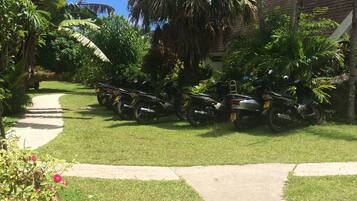 A pathway leading to a row of parked motorcycles, surrounded by lush greenery and palm trees.