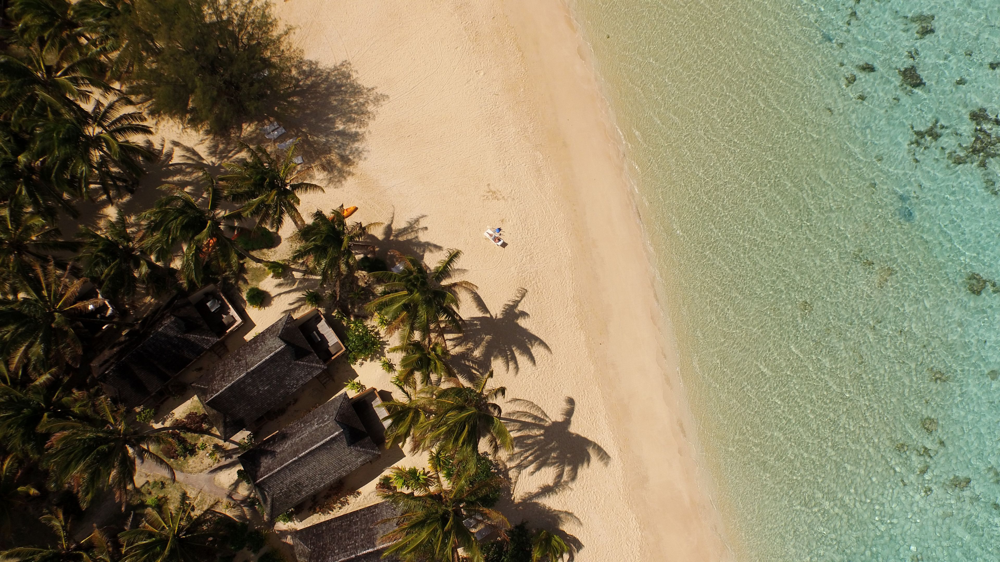 An aerial view of a beach with clear turquoise water, palm trees, and thatched-roof huts.