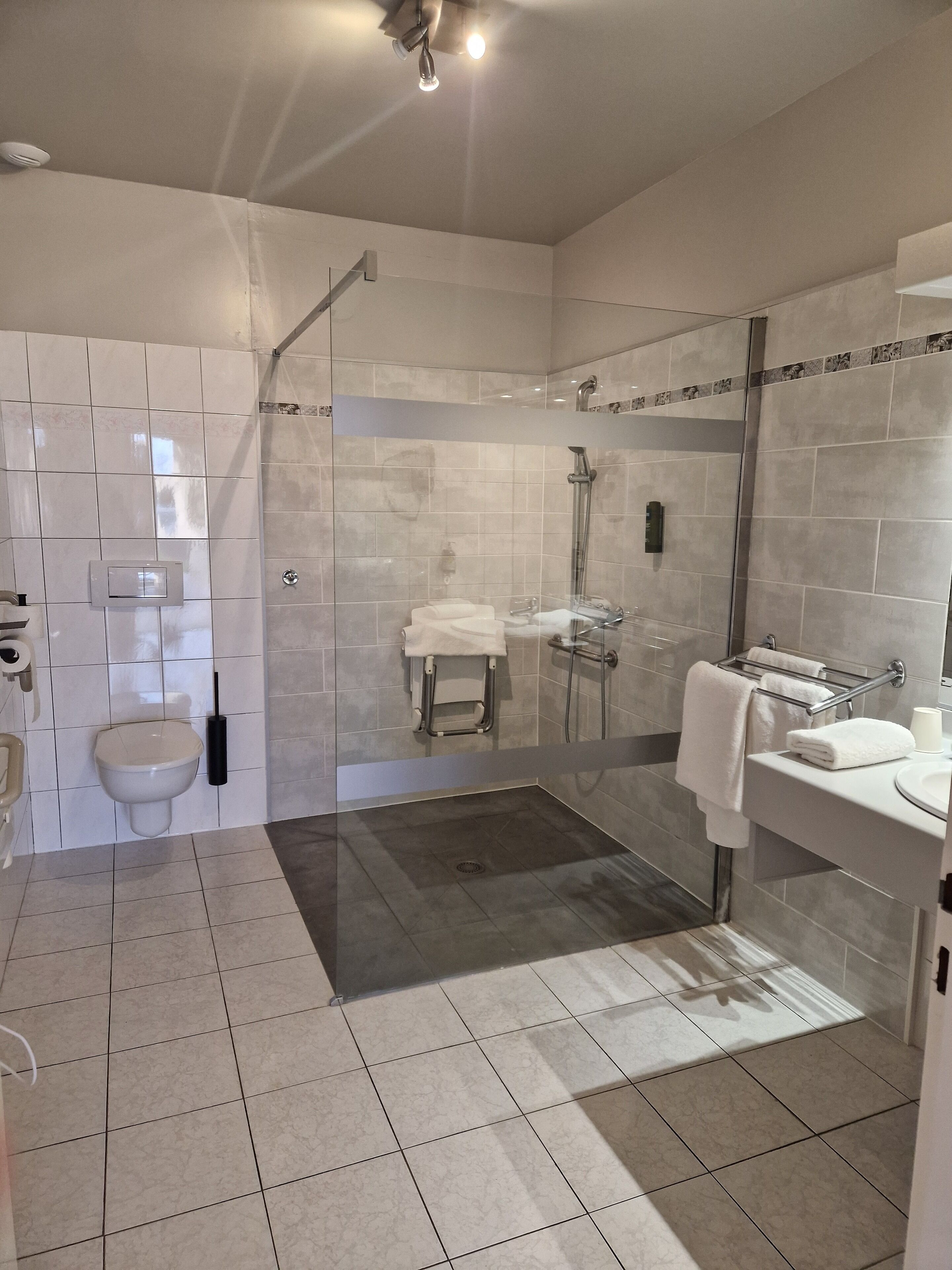 A modern bathroom with a glass-enclosed shower, a toilet, and a sink with a towel rack.