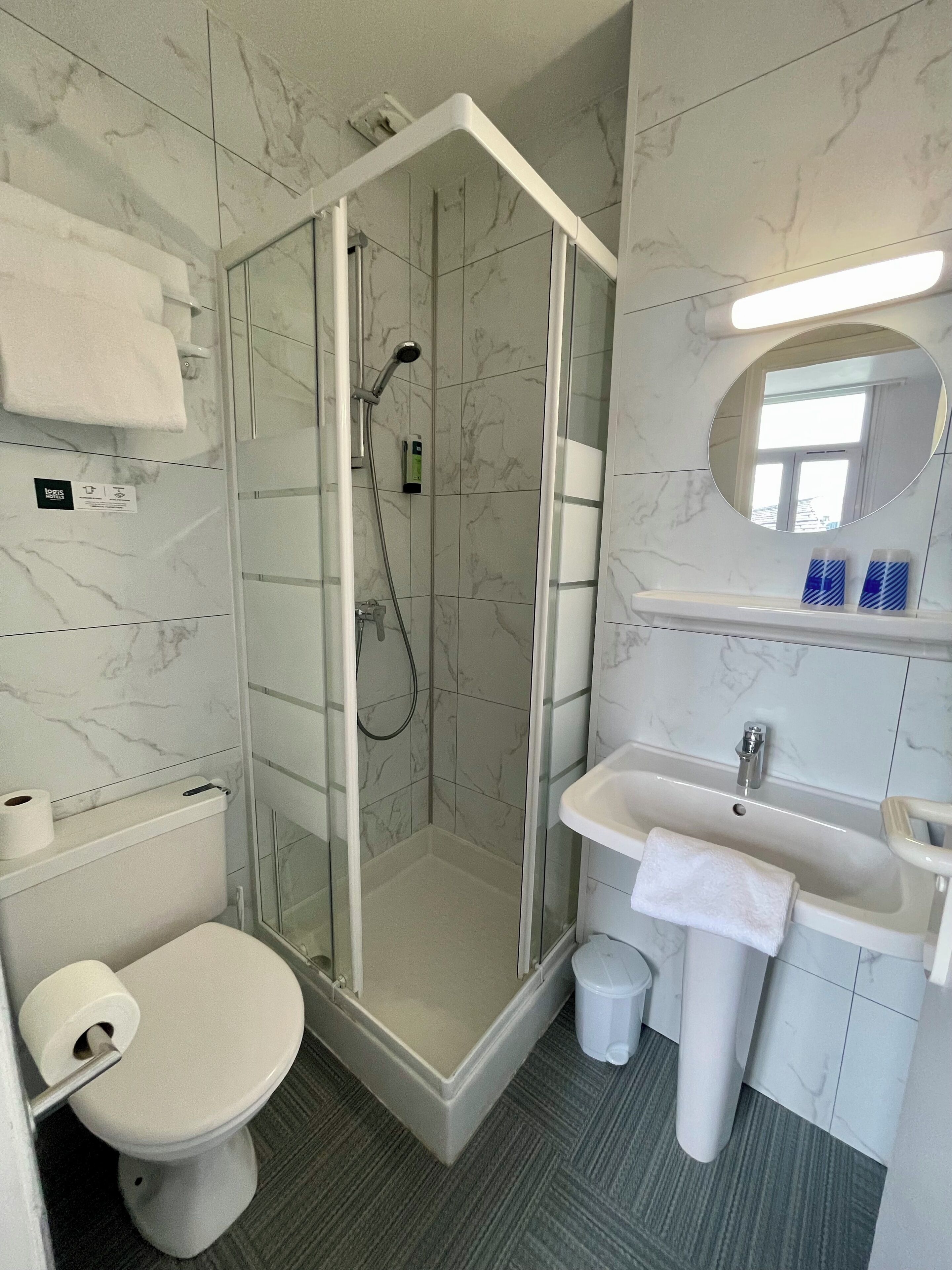A bathroom with a glass-enclosed shower, a toilet, a sink, and a mirror.