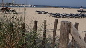 Una playa con filas de tumbonas y una valla de madera.