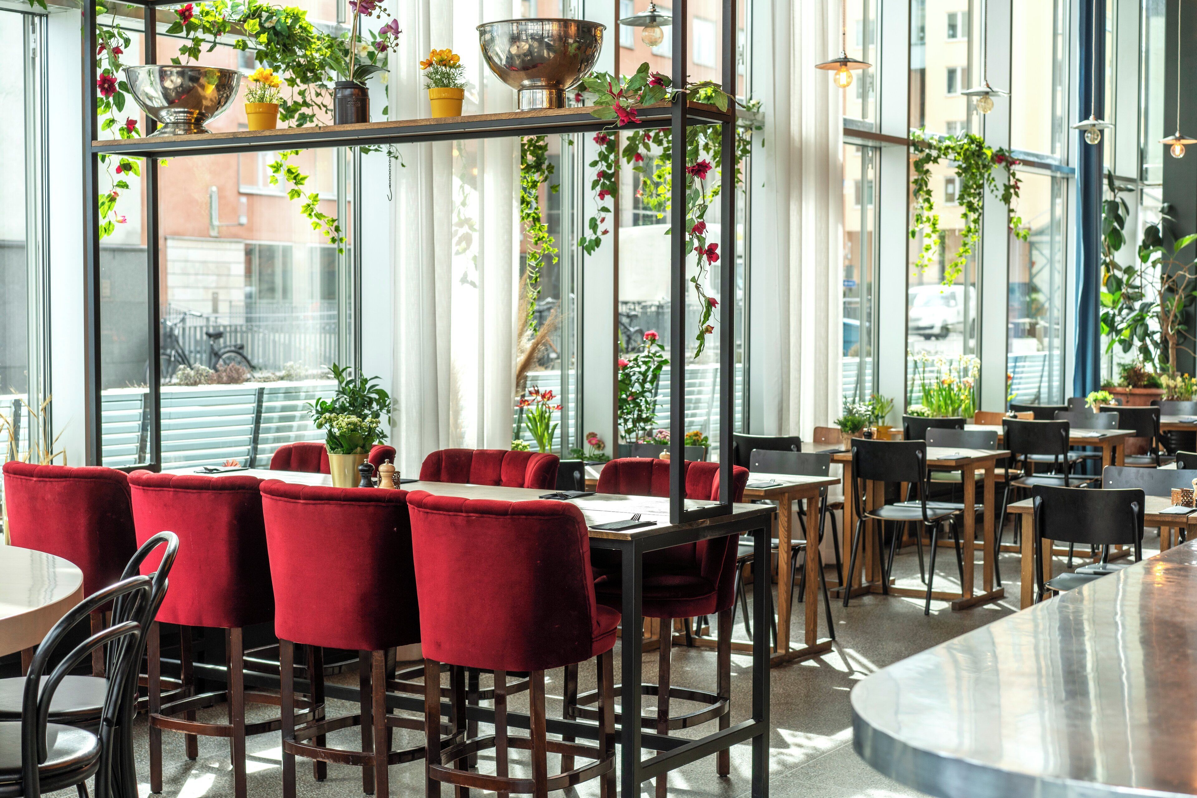 Un café moderno con sillas de terciopelo rojo, mesas de madera y plantas colgantes.
