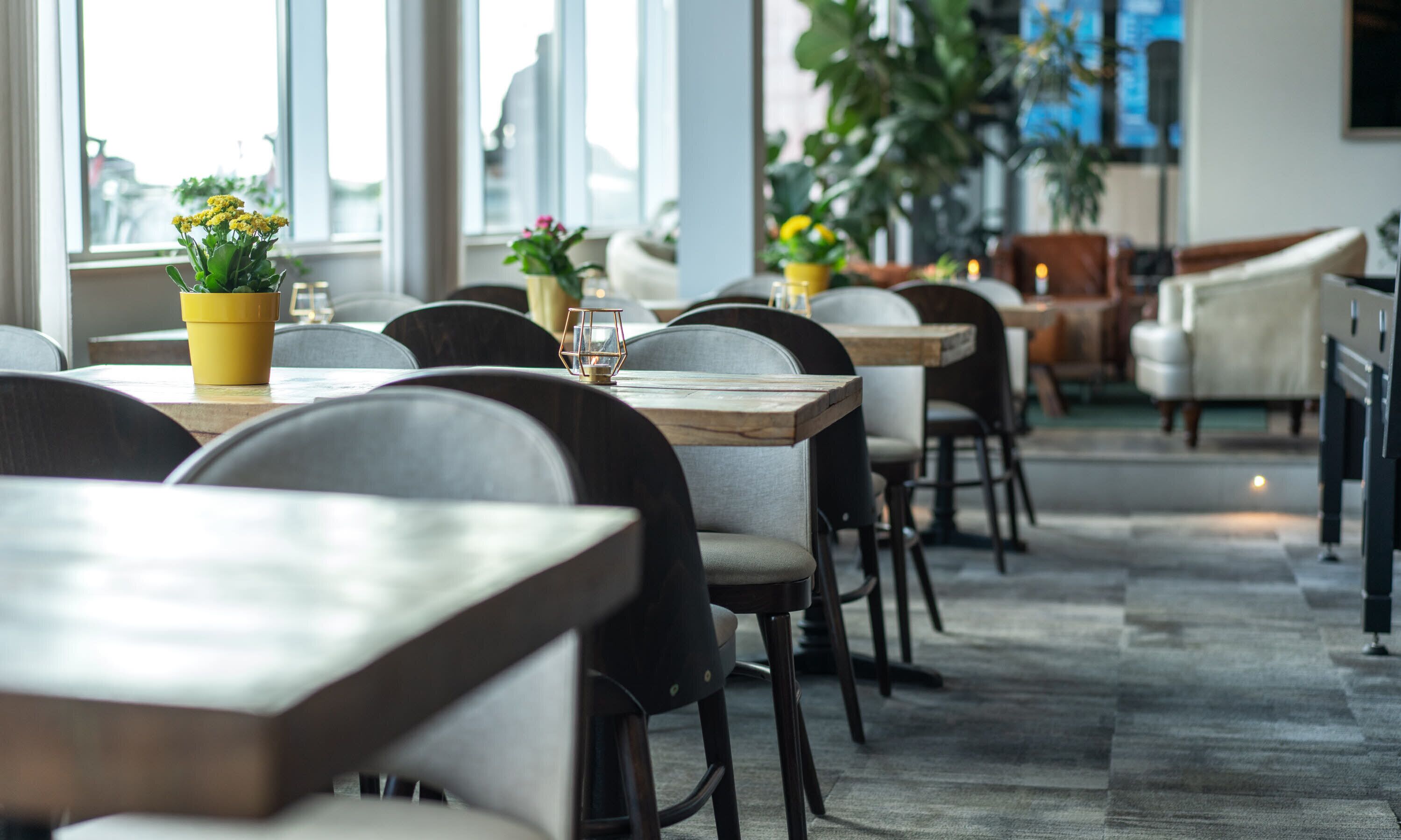 Un interior de restaurante moderno con mesas de madera y sillas tapizadas en gris, ventanas amplias y plantas de interior.