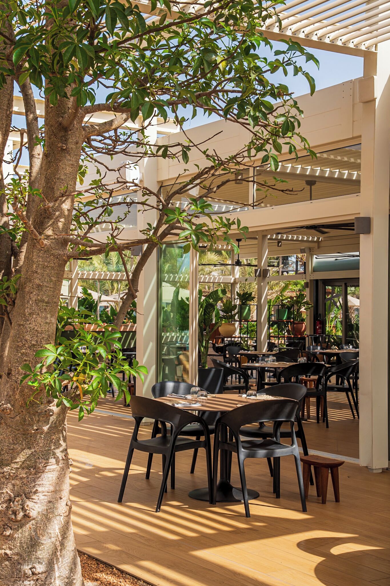 An outdoor cafe with tables and chairs, surrounded by trees and potted plants.