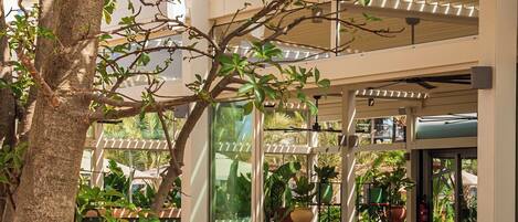 An outdoor cafe with tables and chairs, surrounded by trees and potted plants.