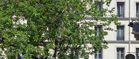 Una estatua de un hombre con vestimenta de época, un árbol y un edificio con múltiples ventanas y balcones.