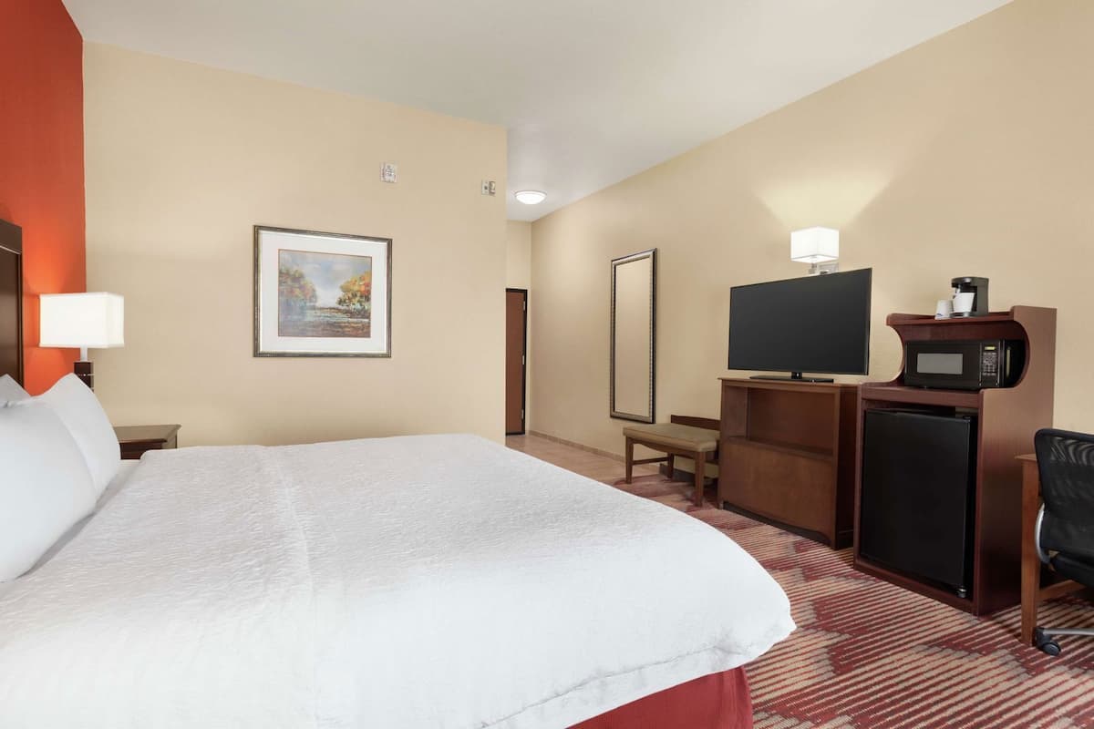 A hotel room with a bed, a television, a microwave, a chair, and a desk.