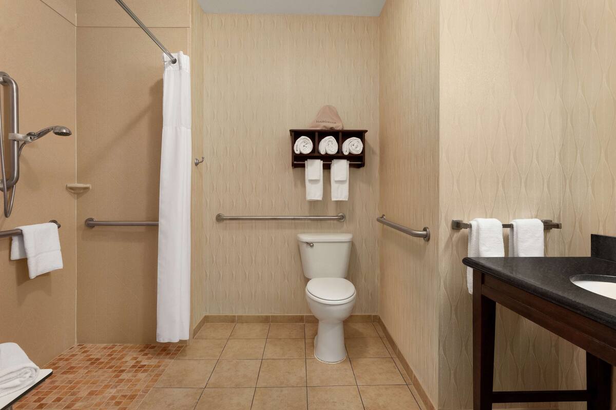 room, 1 king bed, accessible, non smoking | bathroom shower
