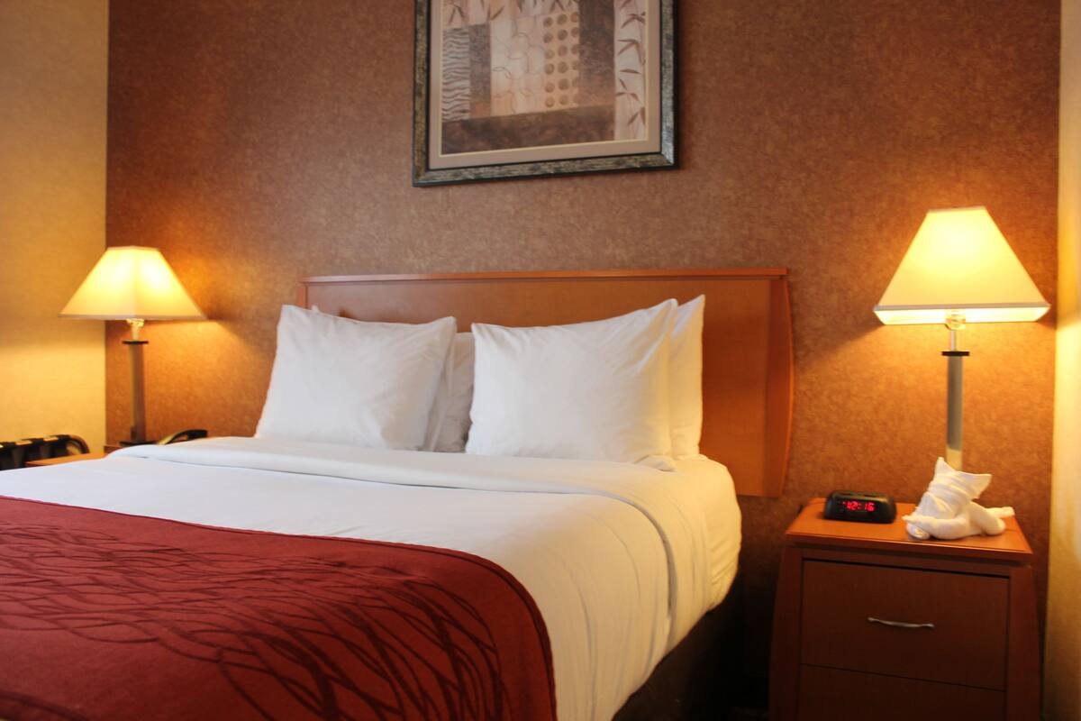 Standard Room, 1 Queen Bed, Non Smoking | Desk, laptop workspace, iron/ironing board, WiFi (free)