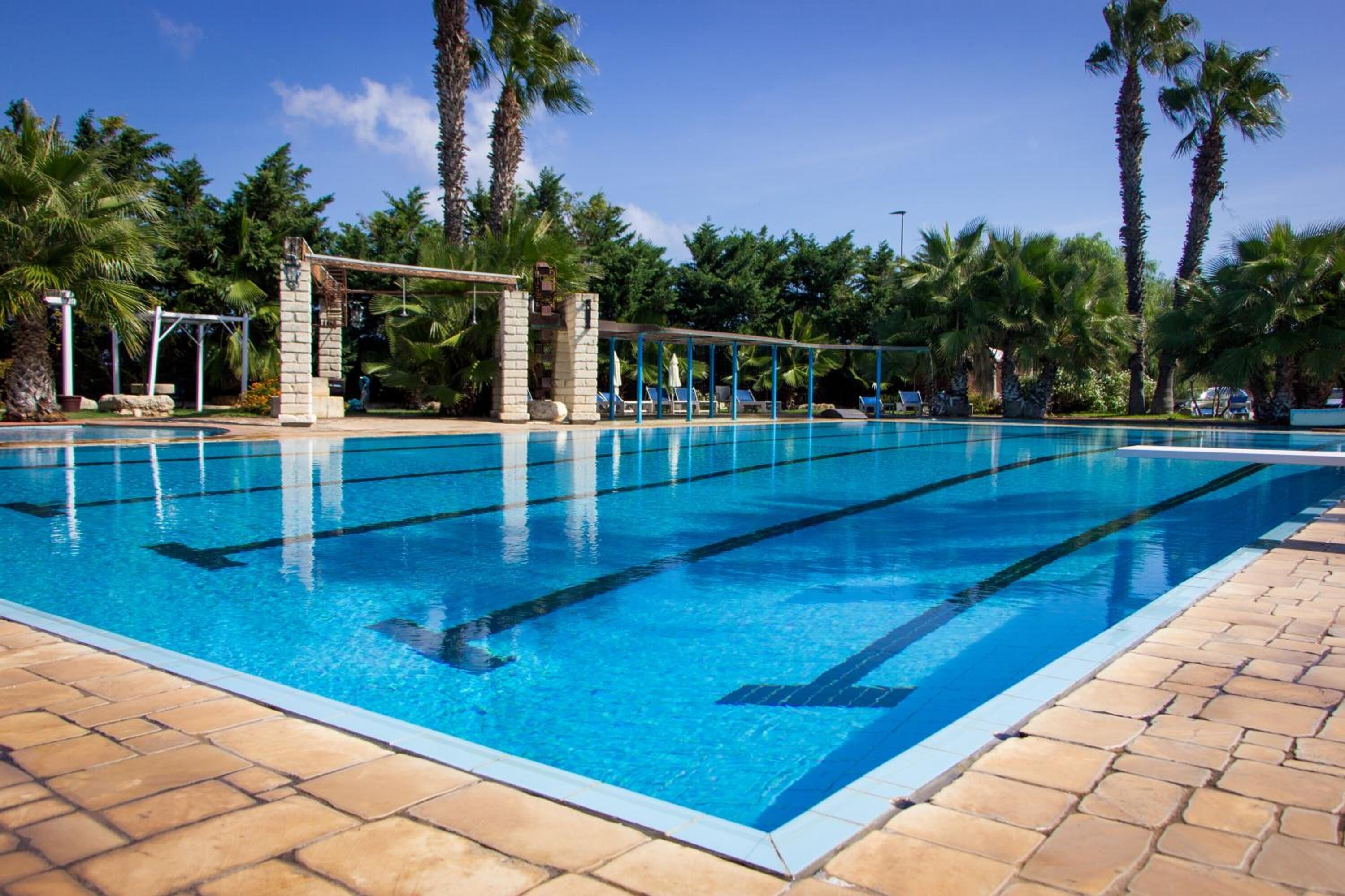 Una piscina rectangular con agua azul cristalina, rodeada de palmeras y un camino de piedra.