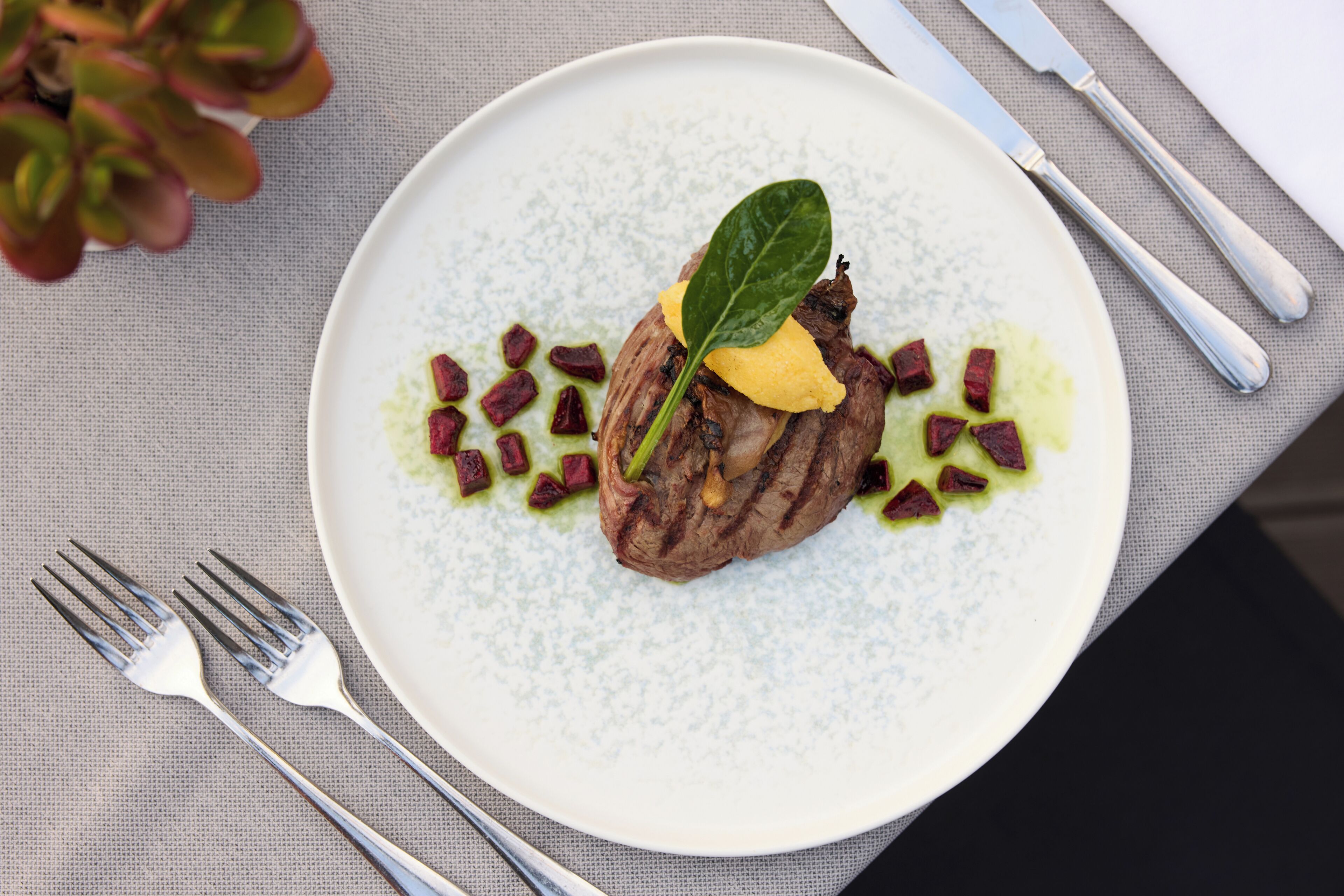 Un plato con un trozo de carne, una hoja y algunas guarniciones sobre un plato blanco texturizado.
