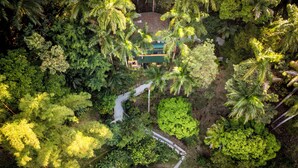 Une vue aérienne d’une zone forestière luxuriante et verdoyante, avec un petit bâtiment entouré d’une végétation dense et un sentier sinueux.