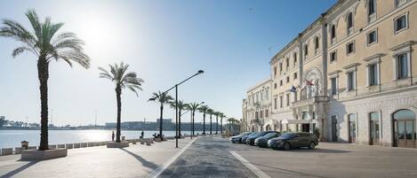 A waterfront promenade with palm trees, parked cars, and a historic building with flags.