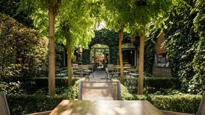 Un espacio al aire libre con mesas y sillas bajo una cubierta de árboles, rodeado de vegetación.