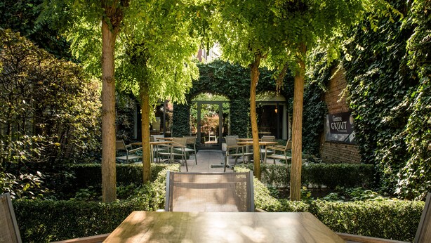 Un espacio al aire libre con mesas y sillas bajo una cubierta de árboles, rodeado de vegetación.