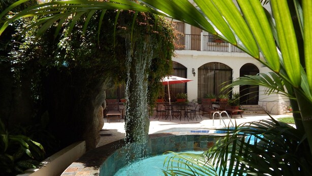 Zona de piscina con borde de piedra, rodeada de plantas en macetas y mobiliario de exterior.