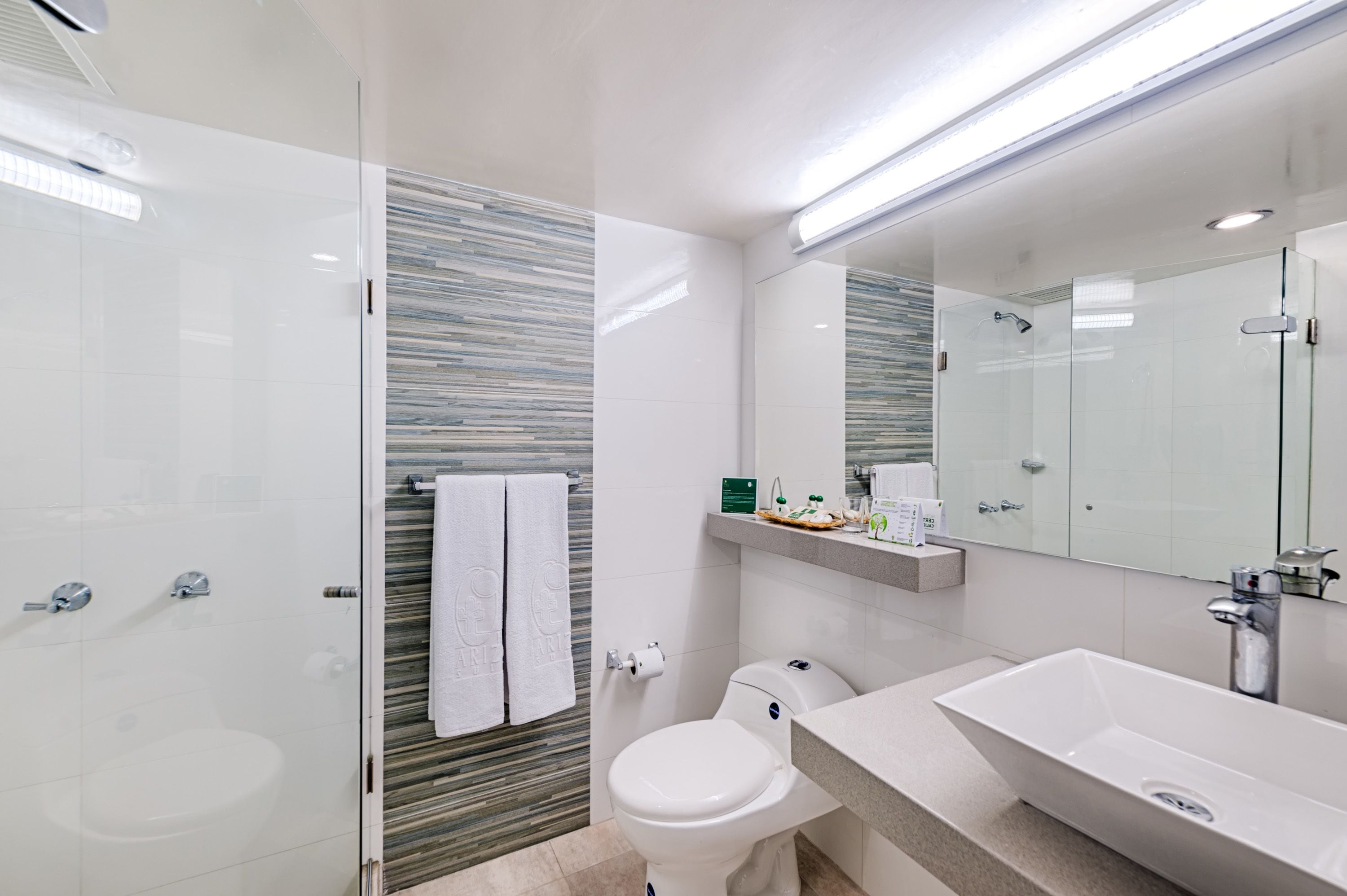 shower, rainfall showerhead, designer toiletries, hair dryer