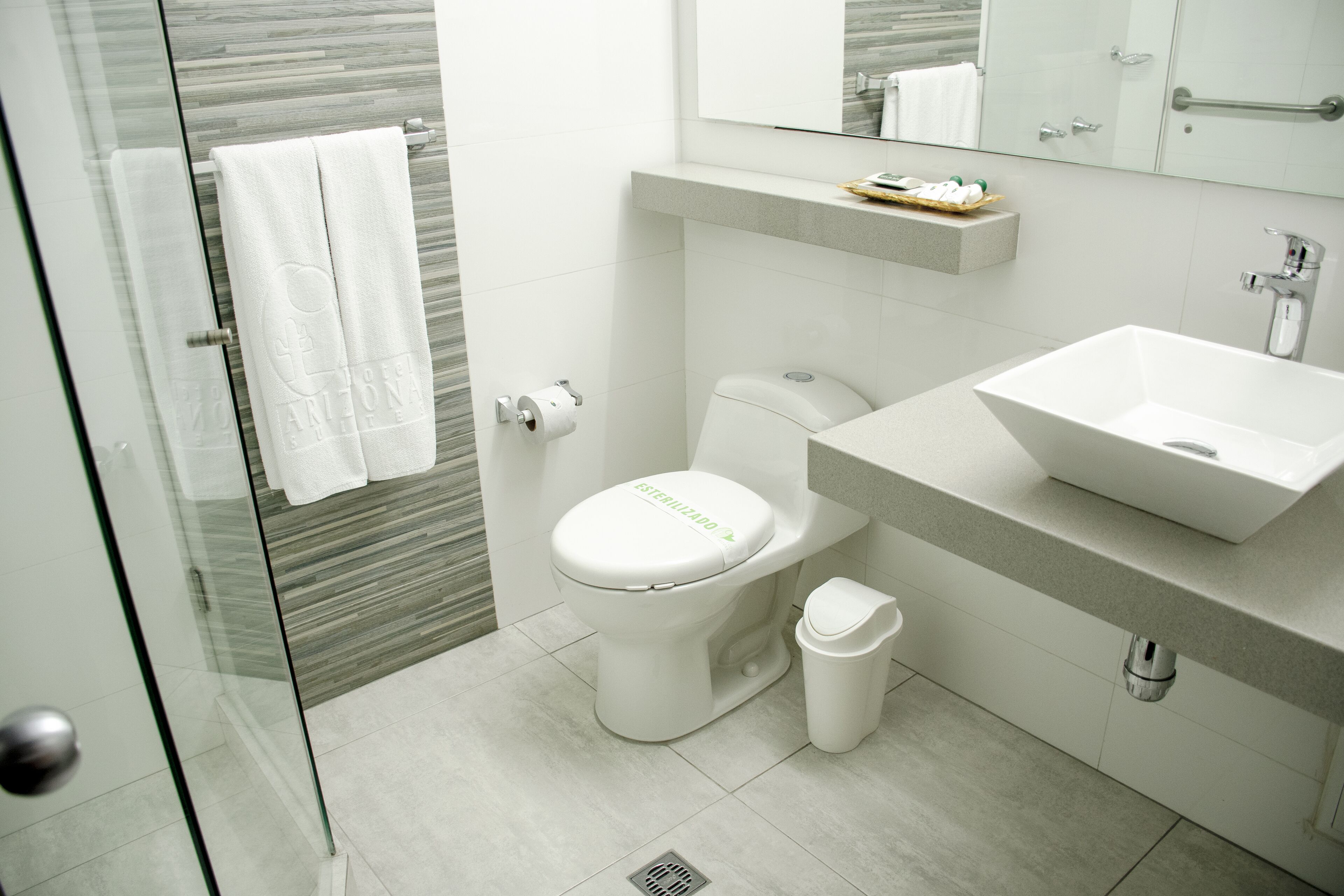 A modern bathroom with a glass shower enclosure, a white toilet, a sink, and a mirror above the sink.