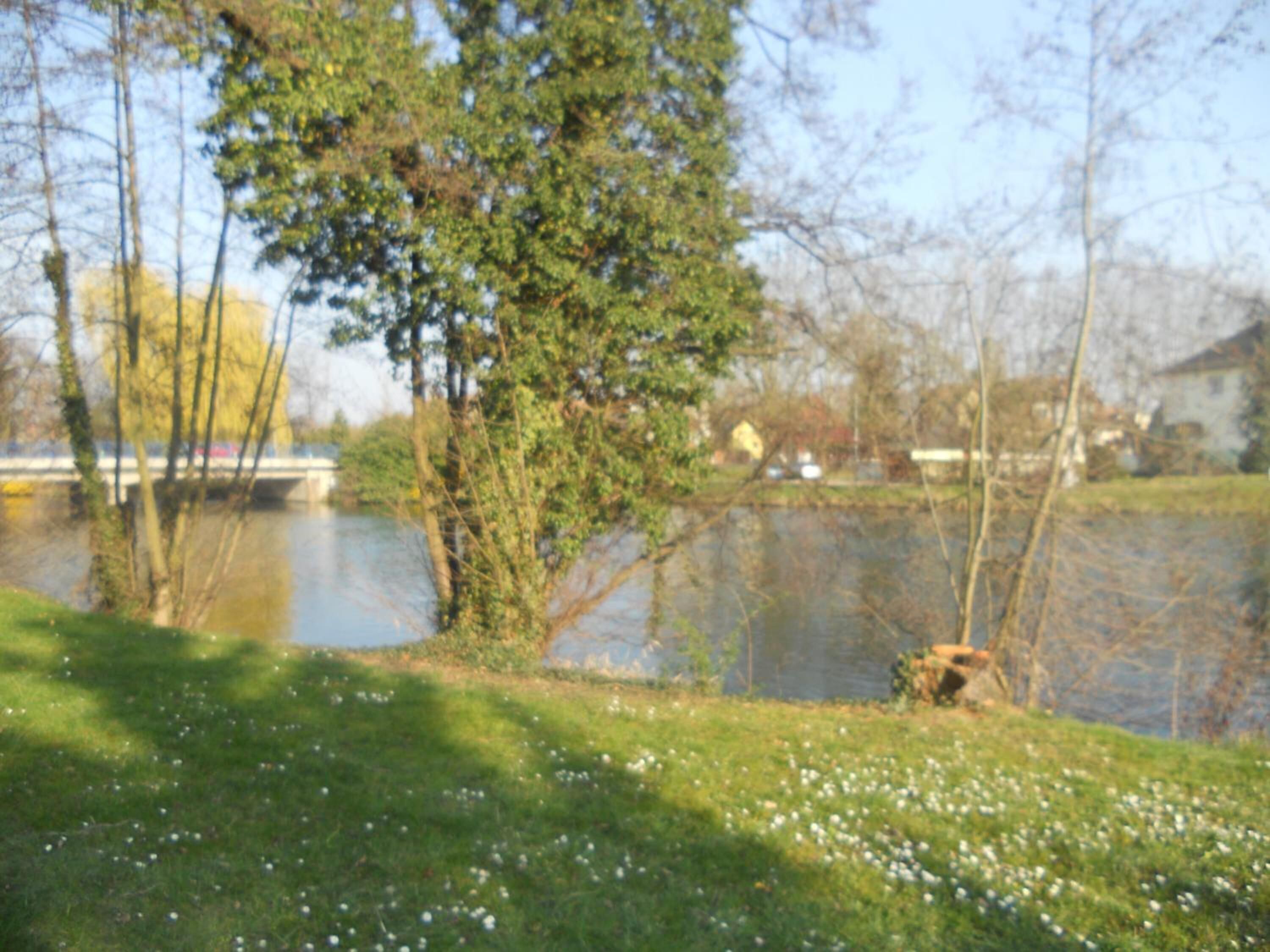 Foto - L'Hôtel des Bords de L'ill