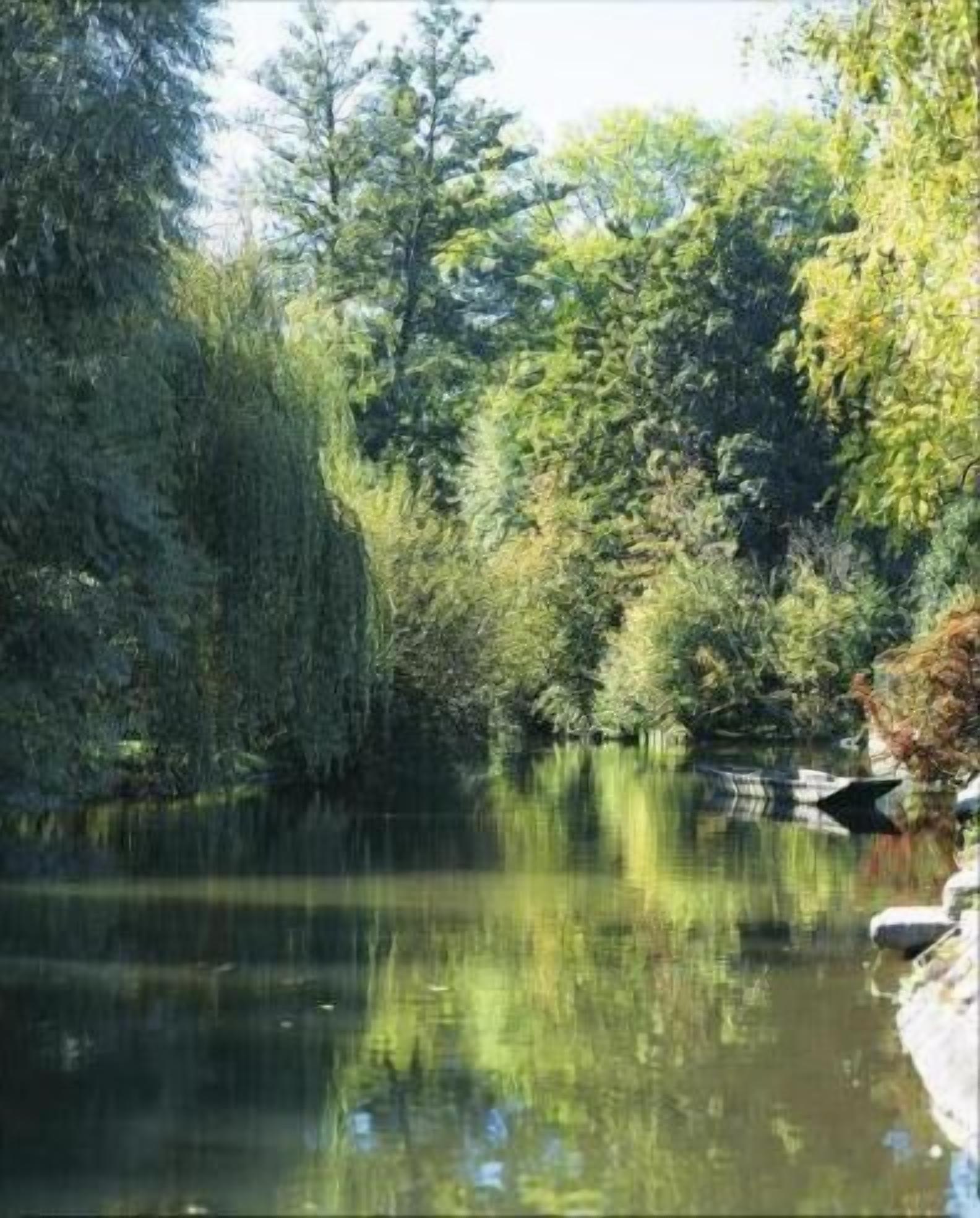 Foto - L'Hôtel des Bords de L'ill