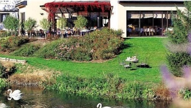 Uitzicht op een rivier met een gebouw, terras en een zwaan in het water.