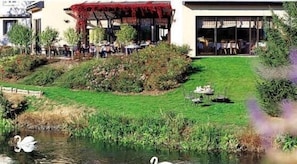 A riverside view of a building with outdoor seating and a swan in the water. - L'Hôtel des Bords de l'Ill (Erstein)