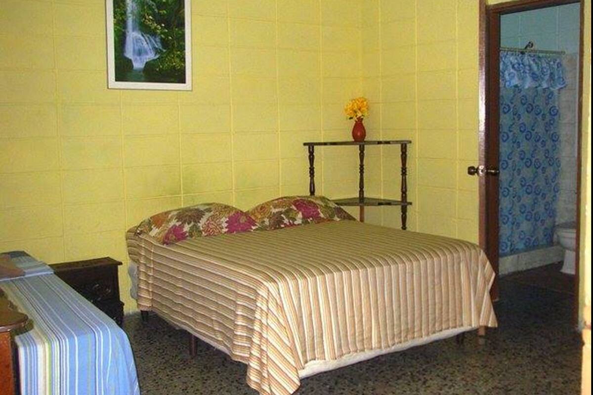 Una habitación con cama, una mesita con un florero y una puerta con cortinas estampadas.