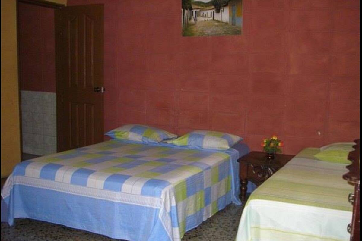 Una habitación con dos camas, una puerta de madera y un cuadro colgado en la pared.
