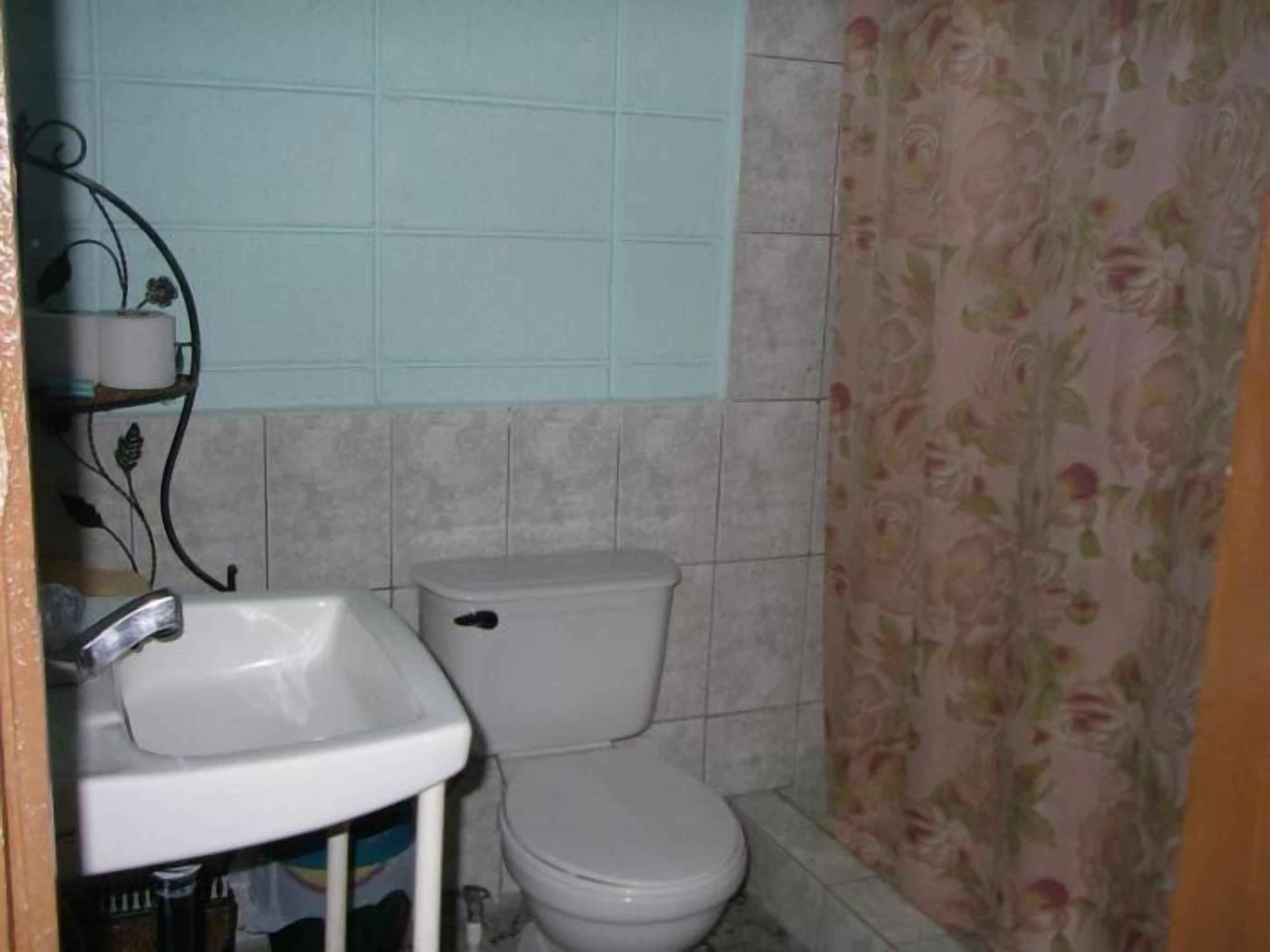A bathroom with a white sink, toilet, and floral-patterned shower curtain.