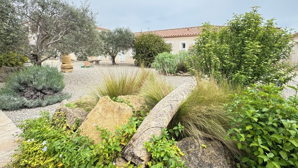 A garden with various plants and a stone pathway.