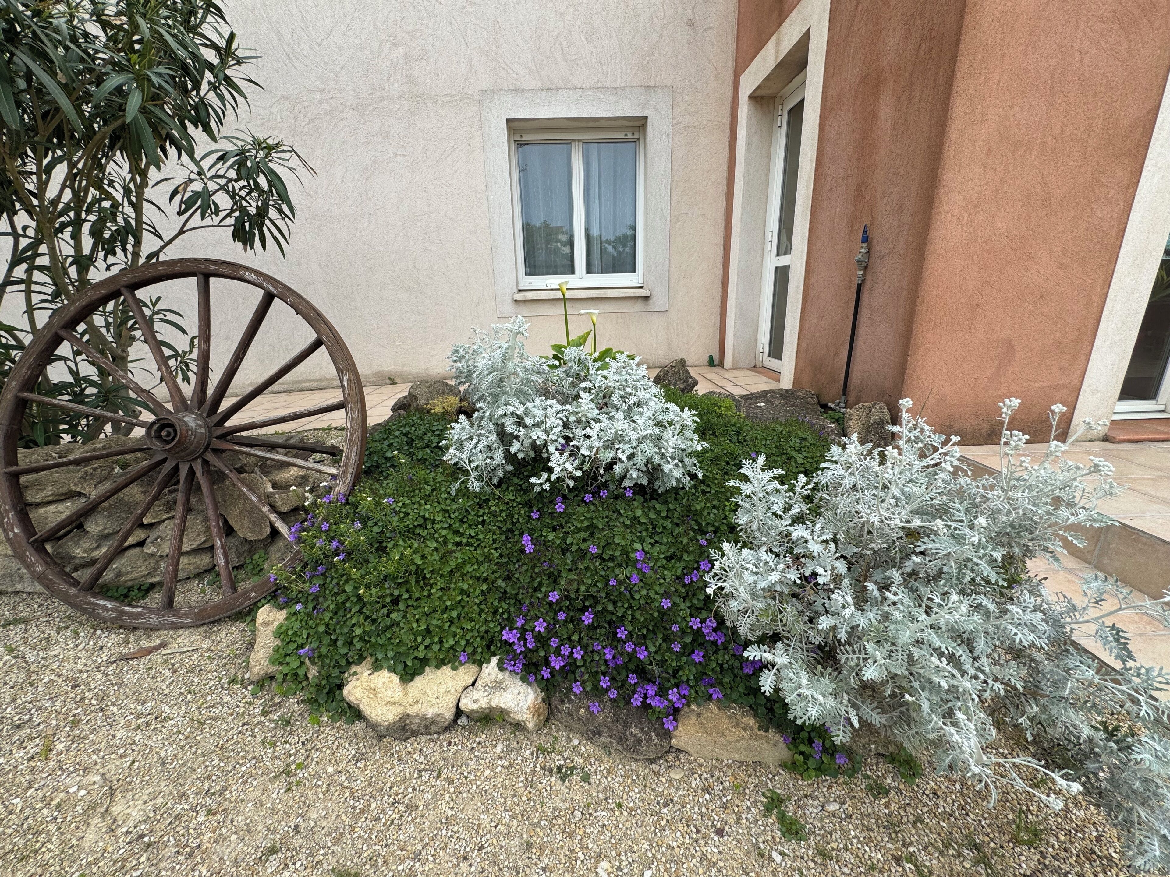 Un jardin agrémenté d’une grande roue en bois, de divers arbustes et de fleurs violettes.