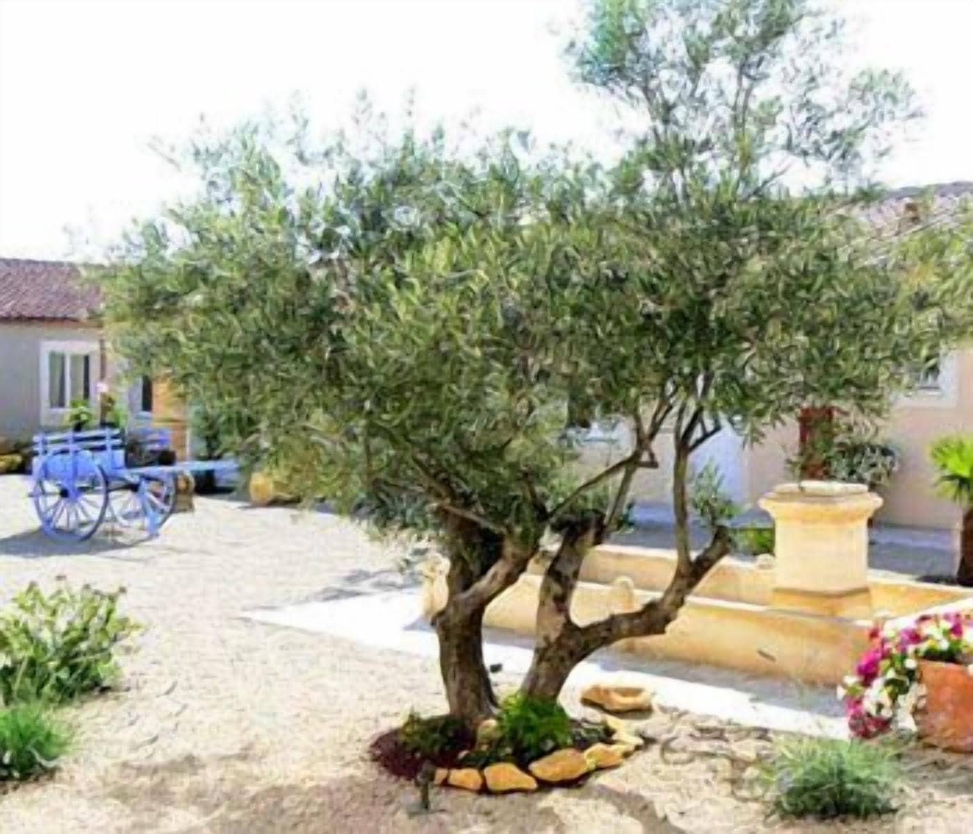 Foto - Hôtel et Résidence de la Transhumance